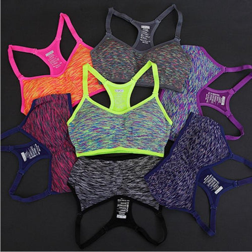 Shake Proof Sports Bra