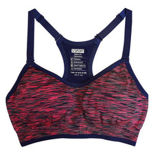 Shake Proof Sports Bra