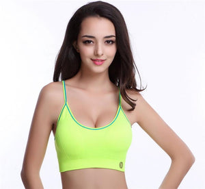 Stretch Fitness Sports Bra
