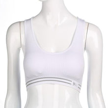 Quick Drying Sports Bra